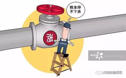 唐山站接卸26万方LNG 7万吨天然气抵港 南气 首次 北输 缓解 气荒 全中国都拼了 