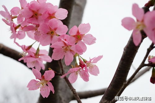 敢拼敢闯,从不甘于平凡的星座,容易成为人生赢家