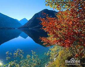 十一月适合去哪里旅游 