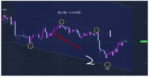 白银td风险怎么样？比纸白银的风险大吗？