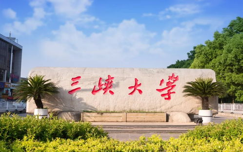 毕业论文,体育学院,大学