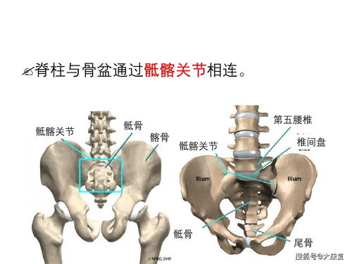 如何预防腰背痛 