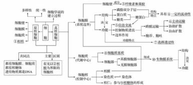 小学细胞的基本知识点总结