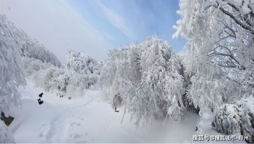 下雪最伤感唯美的句子