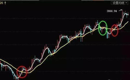 股票的持有、买入、卖出、观望是什么意思