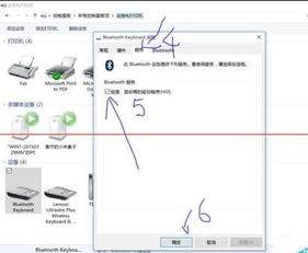 win10无线键鼠显示已连接无法使用