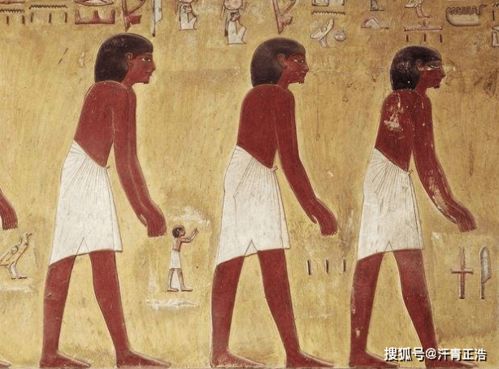 古埃及人是什么人种,起源于非洲,为何和现在的非洲人大不相同