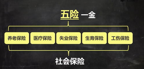 按计提社保费（即五险 养老，医疗，失业，工伤，分公司承担部分和个人承担部分）的会计处理？求专业解答