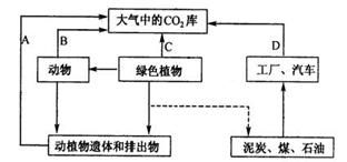 平行环境的意思解释词语-自然通风的四种类型和通风原理？