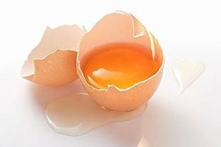 鸡蛋黄边上的白色絮状物能吃吗 
