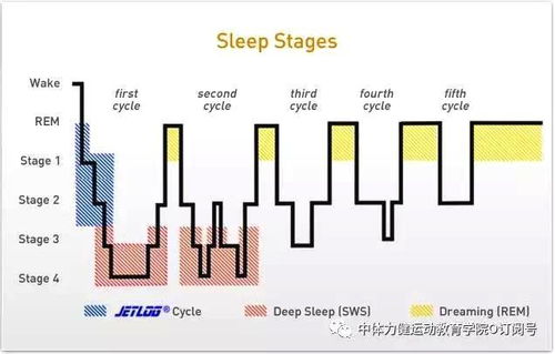 运动为什么会促进睡眠