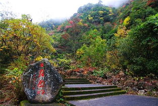 浙江杭州临安大明山景区 景区内小交通 浙西小黄山