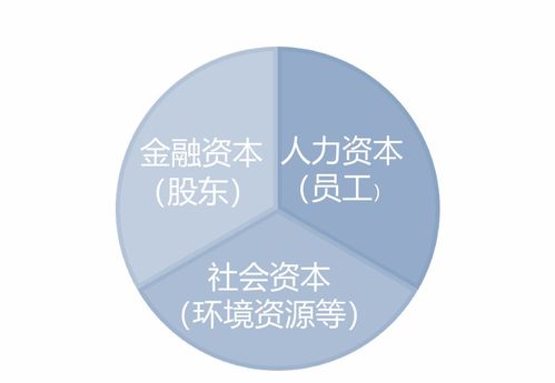 是不是只有上市公司才有资本结构这一说法?