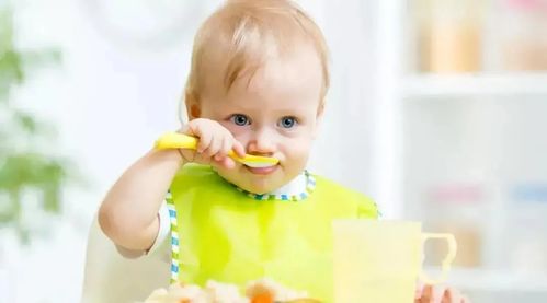 6 24个月宝宝辅食添加时间表,不同月龄宝宝辅食吃什么一目了然