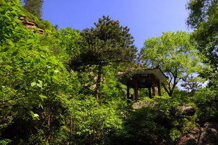 松山森林旅游景区