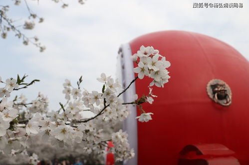 生日的五行八字五行查询