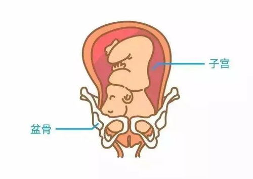 原创胎儿要早产前，一定会发出的五个信号