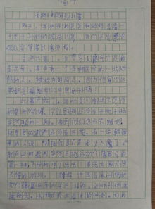 喜欢的样子作文400字