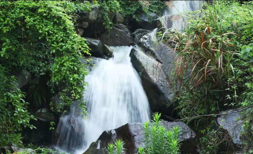 宁波有什么好玩的地方 藏匿在四明山中的小众景点,下雨去太仙了