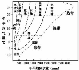 温带划分是什么?