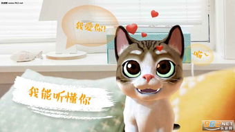 AR喵安卓养猫手游 AR喵手机游戏下载v1.2 乐游网安卓下载 