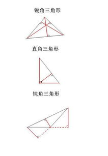 如何避免在画三角形高时出错？