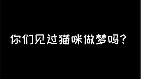 震惊,猫猫睡觉做梦竟发出这种声音