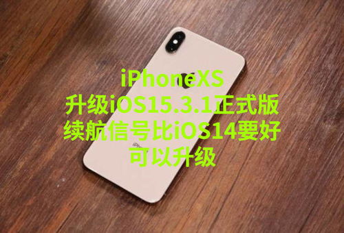 iPhoneXS升级iOS15.3.1正式版 续航信号比iOS14要好,可以升级