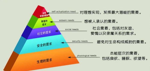 文献速递 新型冠状病毒肺炎疫情心理危机干预中的 三安 原则