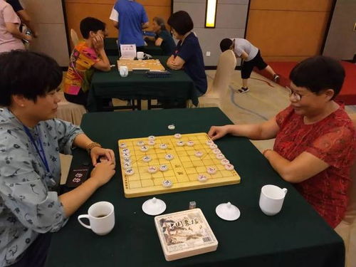 业余棋王赛 浙江赛区 桐庐预选赛 