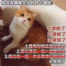 表情包丨不知道怎么哄女生 为你准备了超多表情包