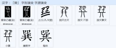 巽 字怎么读,和什么同音 