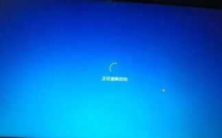 旧电脑用win10还是xp