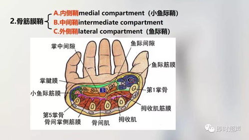 寒窑赋的全文注解释(寒窑赋原文注解及译文)