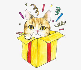 盒子里的猫素材图片免费下载 高清装饰图案png 千库网 图片编号5421118 