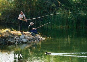 钓鱼空军是什么意思 