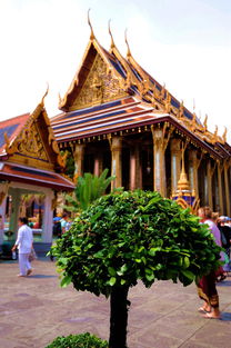 泰国旅游曼谷大城清迈花费 清迈四季酒店一晚多少钱