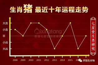 2017丁酉年 生肖猪下半年运势预测