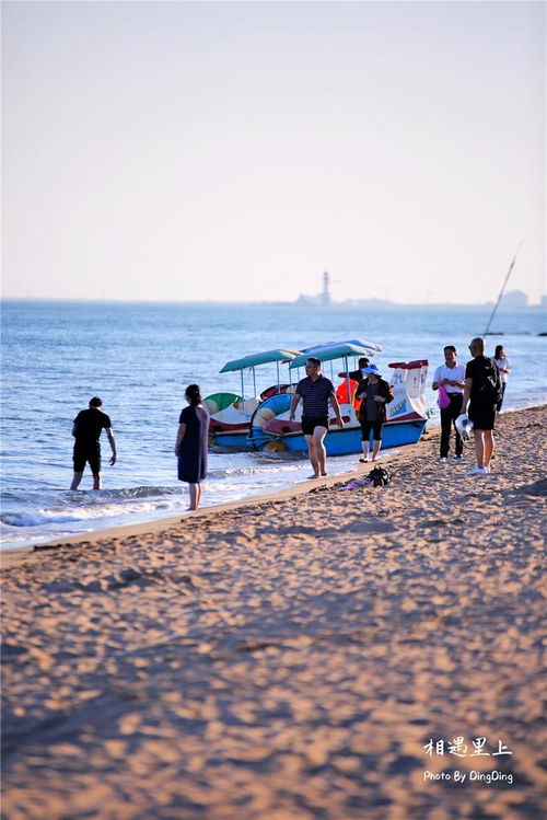 中国哪个沿海城市夏天不热 比基尼水中嬉戏,既可以娱乐又可降暑