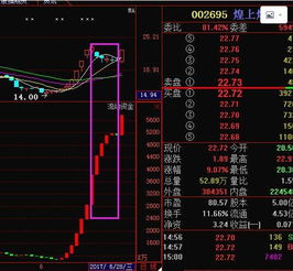 股票委托买16万手半个小时能排上队买到吗