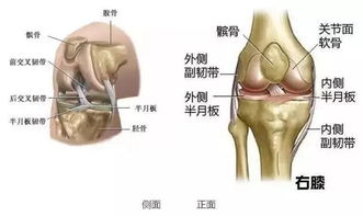 别让你的膝盖 中箭 了