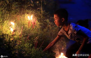 中元节又被称之为鬼节,关于这天的饮食讲究你了解多少