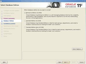 如何在linux下安装oracle(orecle免费服务器)