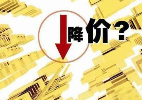 房价真的会降低 专家 2021年的房价,不会让跌幅超过30