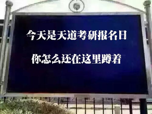 老年学考研专业院校哪个好考一点 就业前景跟方向怎么样