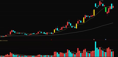 哪些证券公司 成立了资产管理公司