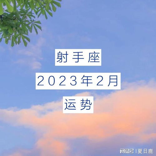 月运 上升 太阳射手座2023年2月运势