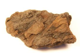 木化石怎么弄好看，硅化木原石怎么处理好看