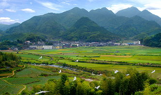 福建南平浦城管厝乡