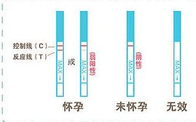 怎样知道自己是否怀孕 